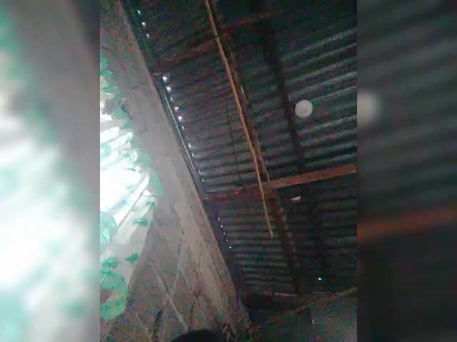 JuicyKittie's BongaCams show and profile