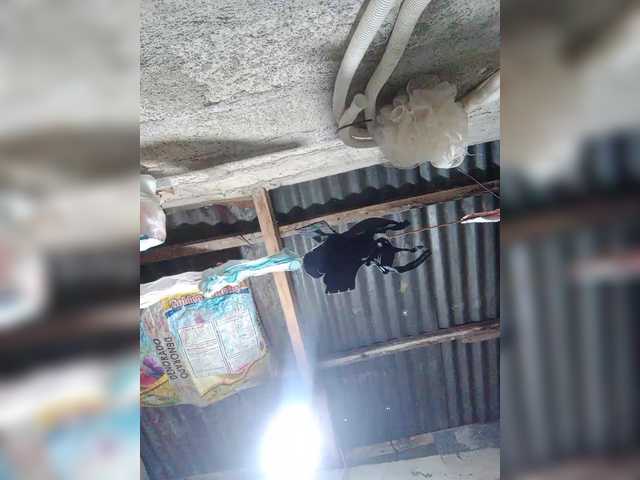 JuicyKittie's BongaCams show and profile