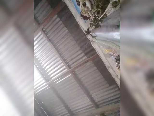 JuicyKittie's BongaCams show and profile