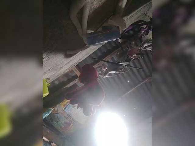 JuicyKittie's BongaCams show and profile