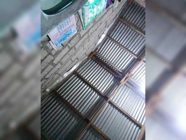 JuicyKittie's BongaCams show and profile