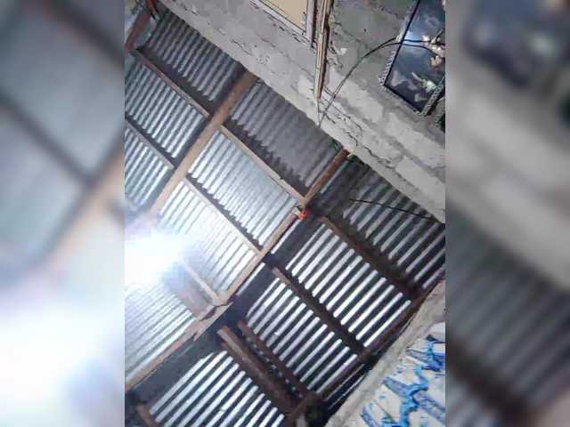 JuicyKittie's BongaCams show and profile