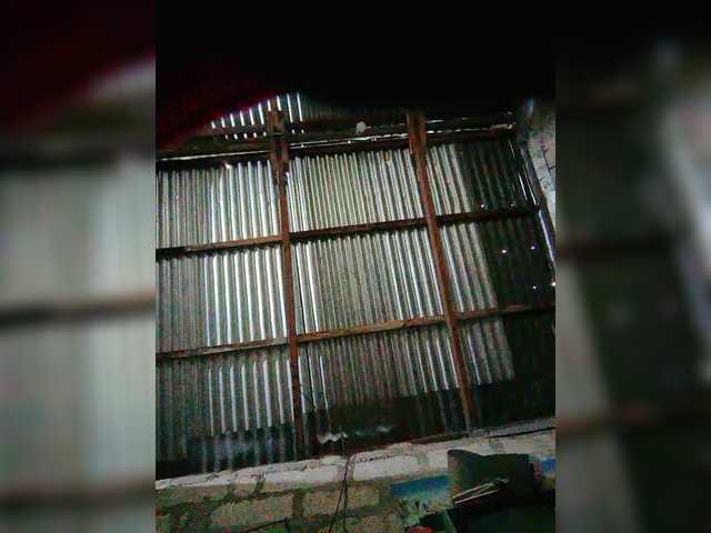 JuicyKittie's BongaCams show and profile