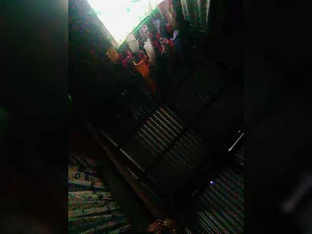 JuicyKittie's BongaCams show and profile