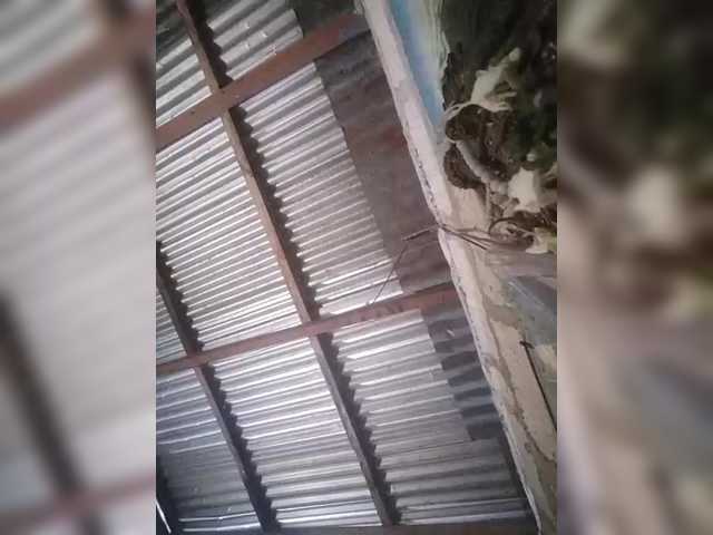 JuicyKittie's BongaCams show and profile