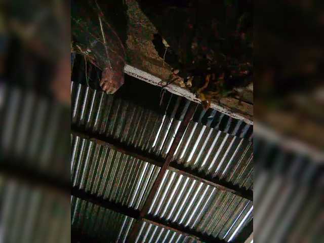 JuicyKittie's BongaCams show and profile