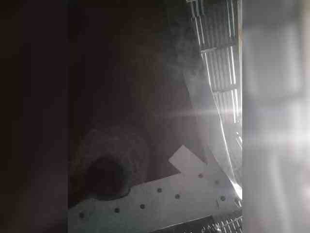 JuicyKittie JuicyKittie