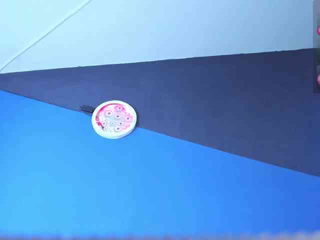 zaid-lion Live Webcam on BongaCams zaid-lion Live Webcam on BongaCams