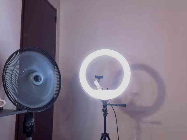 megan-stathan webcam