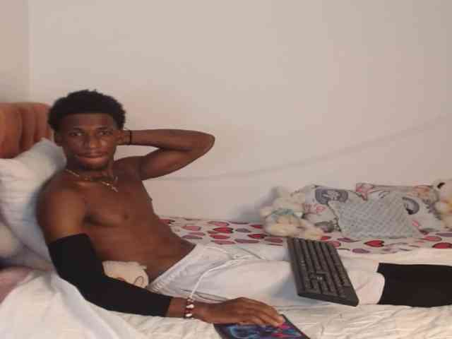 charlie-dam charlie-dam