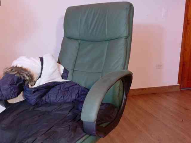 vanessa-7- vanessa-7-