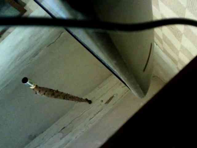 coupleofcoolx webcam
