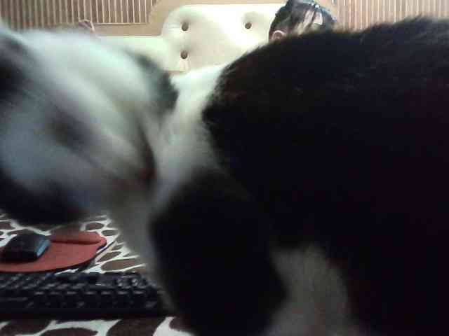 coupleofcoolx webcam