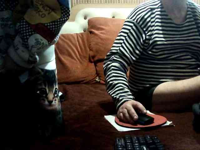 coupleofcoolx webcam