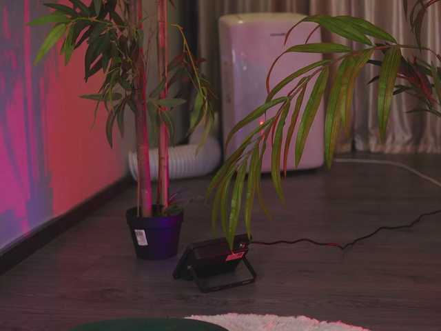 Preview of ramirarowa