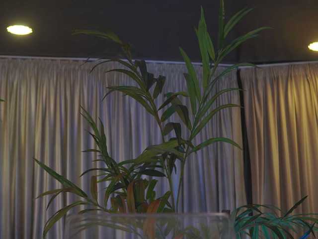 Preview of ramirarowa