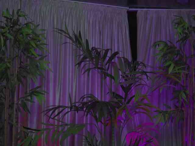 RamiraRowa webcam