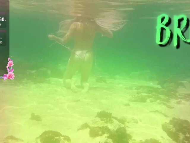 Anuskatz from BongaCams is Freechat