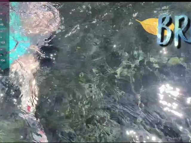 Anuskatz's BongaCams show and profile