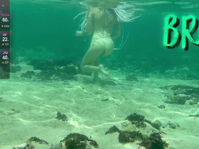 Anuskatz's BongaCams show and profile