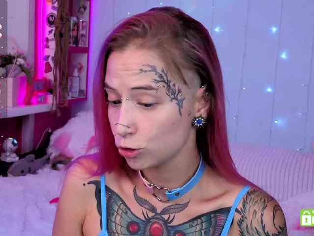 Anuskatz webcam