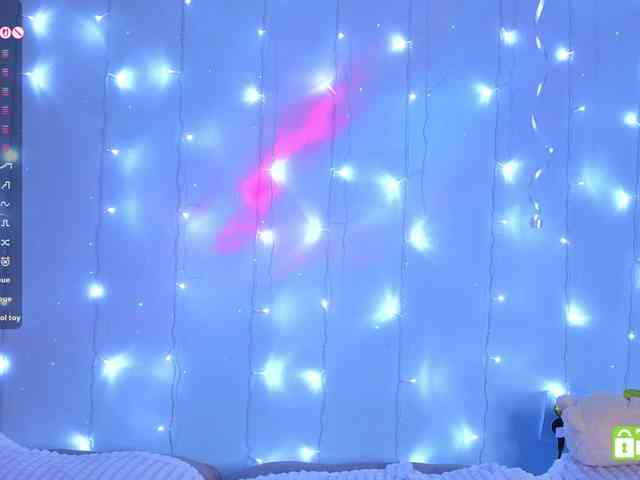 Anuskatz webcam
