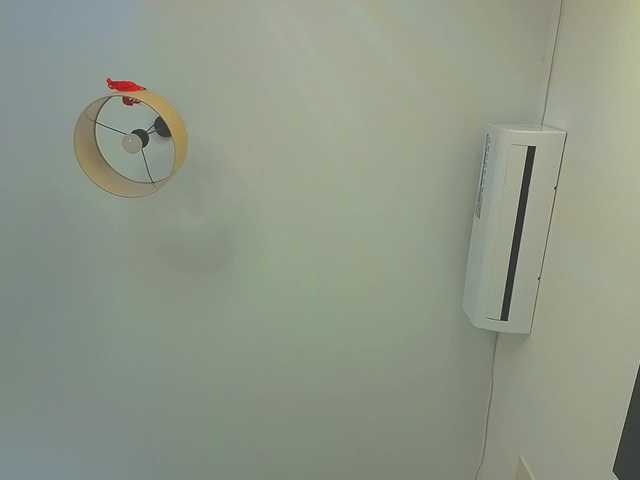 lili-roze's BongaCams show and profile