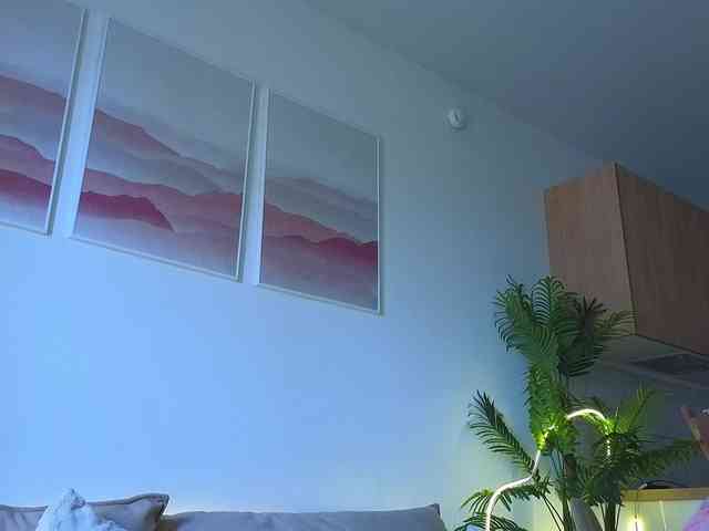 lili-roze webcam