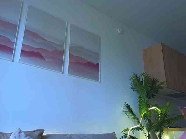 lili-roze webcam