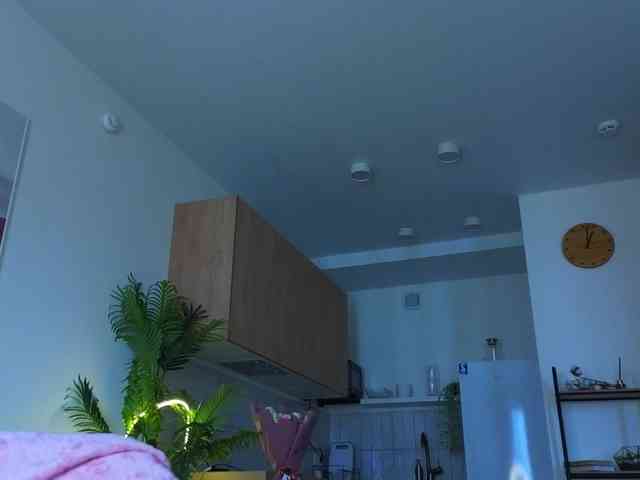 lili-roze webcam