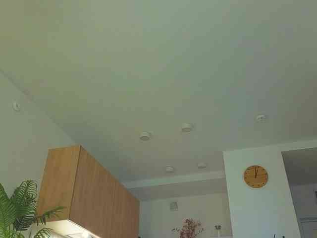 lili-roze webcam