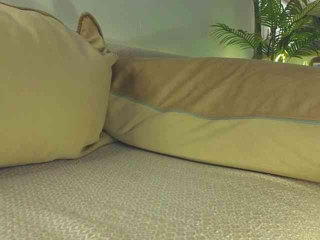 lili-roze webcam