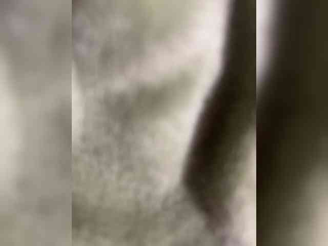 Amber-Lorinda webcam