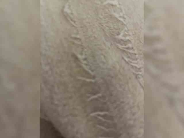 Amber-Lorinda webcam