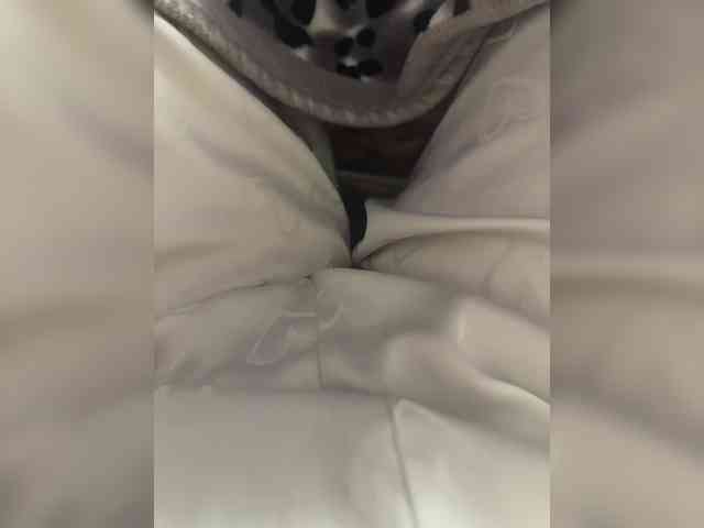 Amber-Lorinda webcam