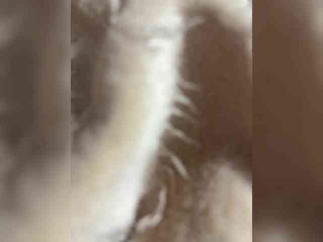 Amber-Lorinda webcam