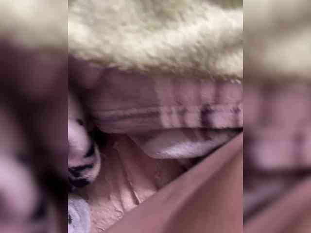 Amber-Lorinda webcam