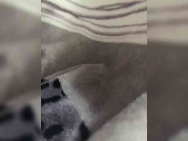 Amber-Lorinda webcam