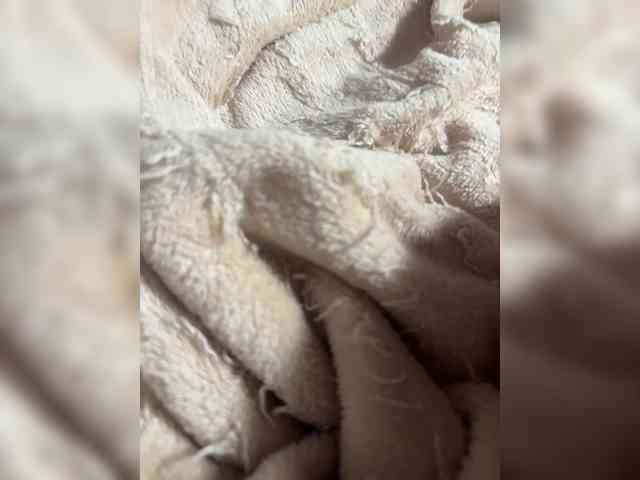 Amber-Lorinda webcam