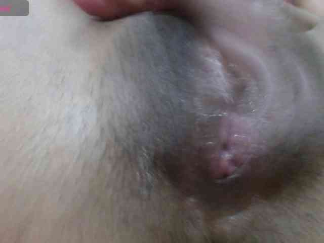 maidy-19 webcam