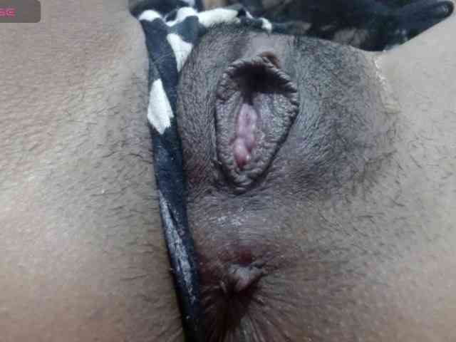 maidy-19 webcam