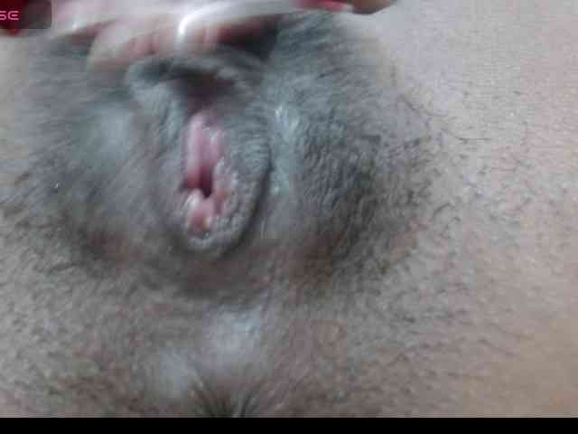 maidy-19 webcam