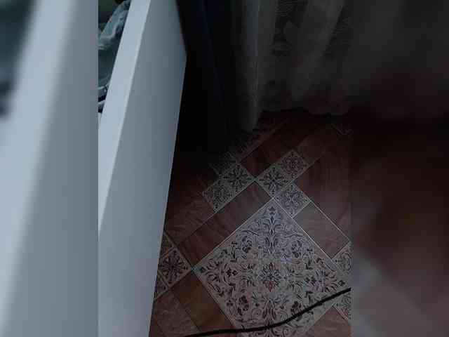 ZaraSss Live Webcam on BongaCams