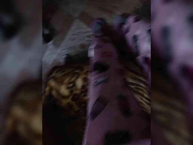 ZaraSss webcam