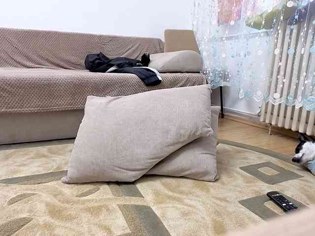 Elchapoguzman95 Elchapoguzman95