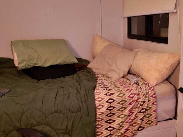 thesssavannah's BongaCams show and profile