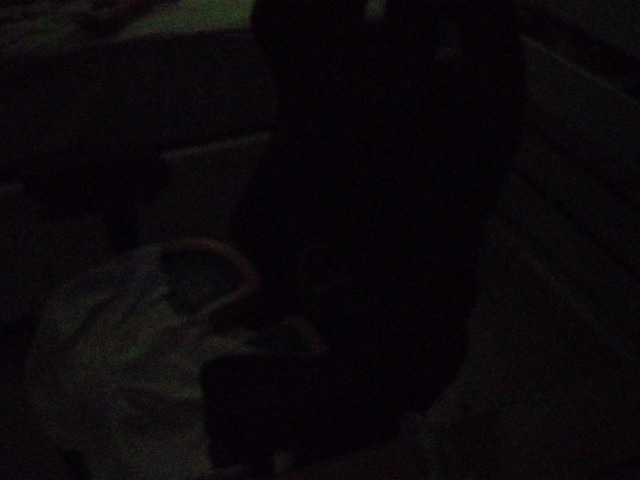 thesssavannah's BongaCams show and profile