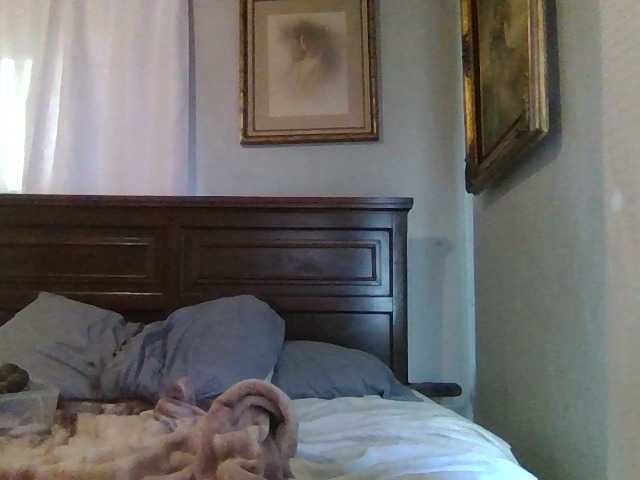 Preview of paisleyday