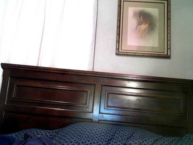 Preview of paisleyday