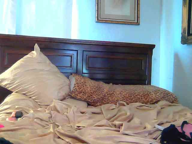 PaisleyDay PaisleyDay